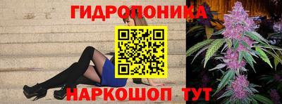 молекула духа Боровичи