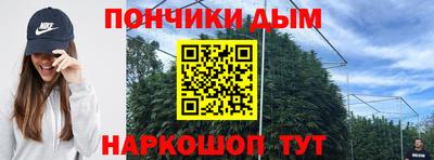 молекула духа Боровичи