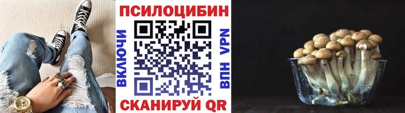 Галлюциногенные грибы Cubensis  ссылка на мегу как войти  Стерлитамак 