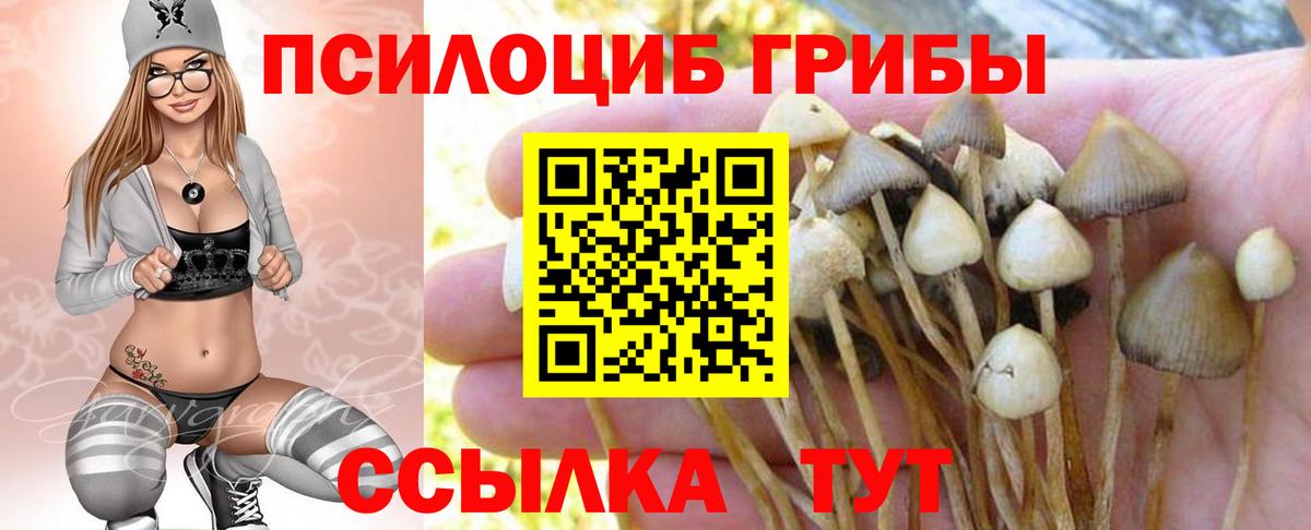 Галлюциногенные грибы GOLDEN TEACHER Стерлитамак