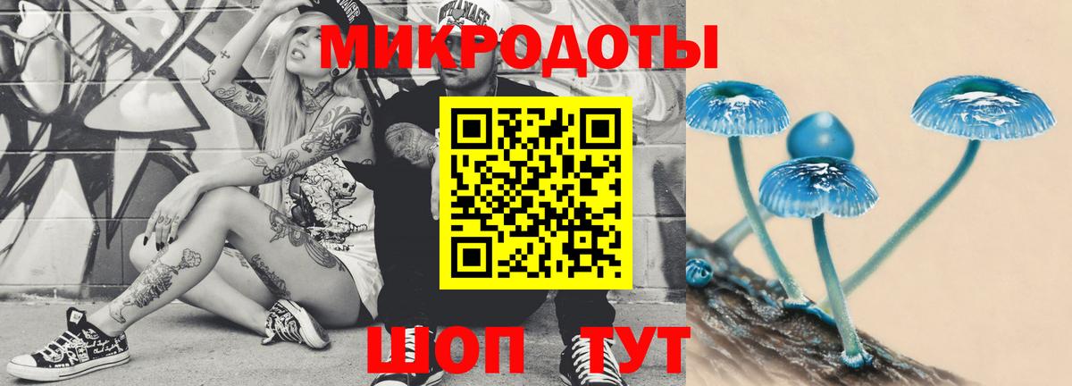 Стерлитамак  что такое   Вход с VPN  Галлюциногенные грибы Cubensis 